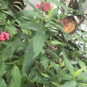 Meet your Posher, Jo